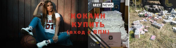 дживик Алзамай