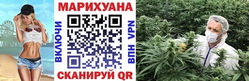 Канабис OG Kush  мега tor  Калтан  купить наркотики цена 